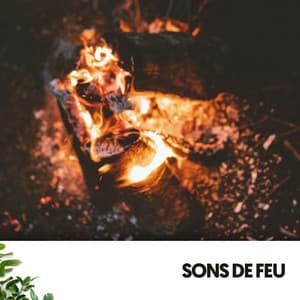 Sons de Feu : Mélodies Ardentes dans la Nuit - Relajacion