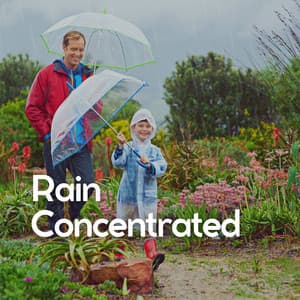 Rain Concentrated - Sons da natureza HD