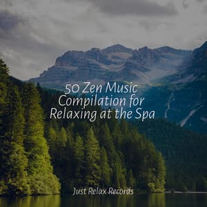 50 Zen Music Compilation for Relaxing at the Spa - New Age