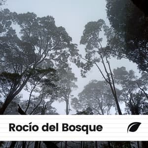Rocío del Bosque - Sonidos de la Naturaleza para Dormir