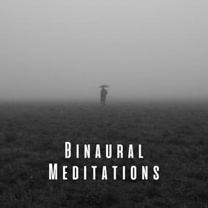 Binaural Meditations: Theta Waves and Rain Melodies - The Rain Sounds Nature Experts