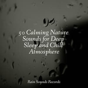 50 Calming Nature Sounds for Deep Sleep and Chill Atmosphere - Avslappning Sound