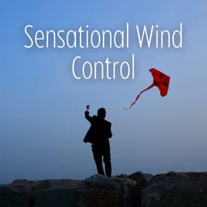 Sensational Wind Control - Sounds of Nature White Noise for Mindfulness Meditation and Relaxation
