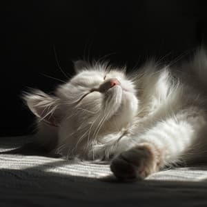 Canciones De Cuna Para Gatos Con Música Ambiental: Delicias Para Un Sueño Sereno - Gato Somnoliento