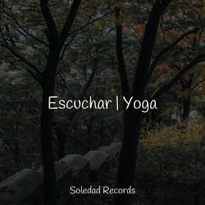 Escuchar | Yoga - Mantra para Dormir