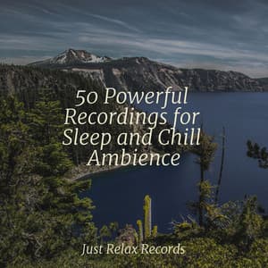 50 Powerful Recordings for Sleep and Chill Ambience - Yoga Music
