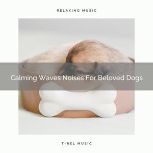 Calming Waves Noises For Beloved Dogs - Dog Total Relax