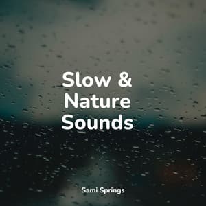Slow & Nature Sounds - Música relaxante