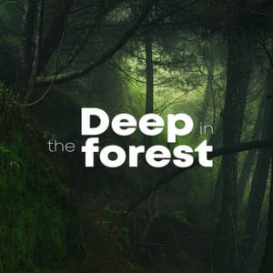 Deep In The Forest - Soothing Sounds