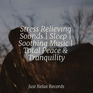 Stress Relieving Sounds | Sleep | Soothing Music | Total Peace & Tranquility - Relajacion Del Mar