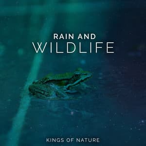 Rain and Wildlife - Kings of Nature
