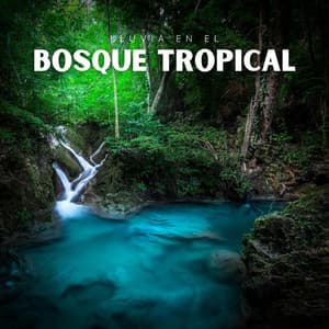 Lluvia en el Bosque Tropical - Lluvia PQ