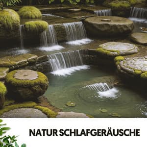 Natur Schlafgeräusche: Lieder des Zauberwaldes - Relajacion
