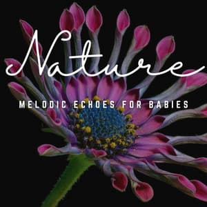 Nursery Dreams: Melodic Echoes for Babies - Instrumental Study Music