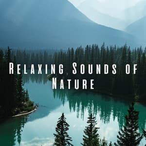 Relaxing Sounds of Nature - Nature Sound Collection