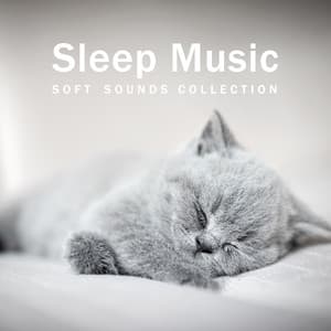 Soft Sounds Collection. Sleep Music - Sleep System