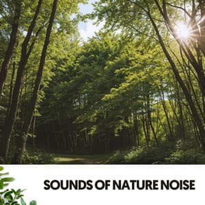 Sonidos Naturales y Ruido: Serenata Tranquila - Dog Relaxation