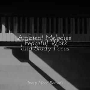 Ambient Melodies | Peaceful Work and Study Focus - Ivory Mood