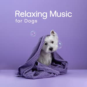Relaxing Music for Dogs: Pets Sleep, Have a Good Rest, להרגיע כלב - Pet Music Academy