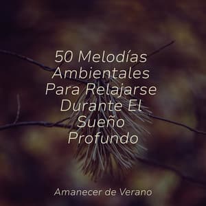 50 Melodías Ambientales Para Relajarse Durante El Sueño Profundo - Masajes Spas