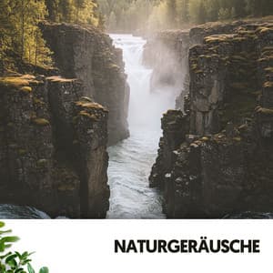 Naturgeräusche: Ruhige Schlummersymphonie - Ruido Blanco Hart
