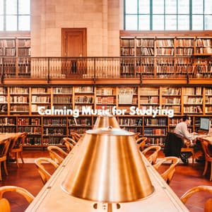 Calming Music for Studying - Música de la Oficina