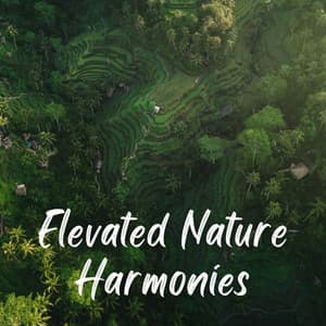 Elevated Nature Harmonies - Complete Spa Music