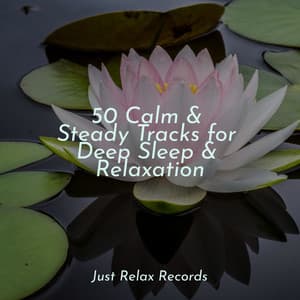 50 Calm & Steady Tracks for Deep Sleep & Relaxation - Thunderstorm Sound Bank