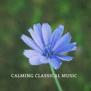 Calming Classical Music - Claude Debussy