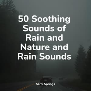 50 Comforting Rain Sounds - Rain