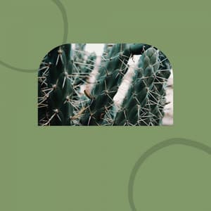 Mindfulness - Subtle - Music For Deep Sleep