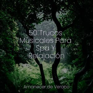 50 Trucos Musicales Para Spa Y Relajación - Relajación Piano