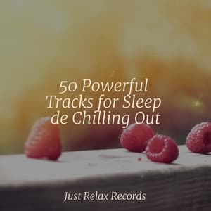 50 Powerful Tracks for Sleep de Chilling Out - Nature Sounds Nature Music