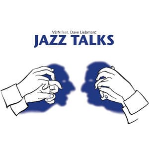 Jazz Talks - VEIN Trio