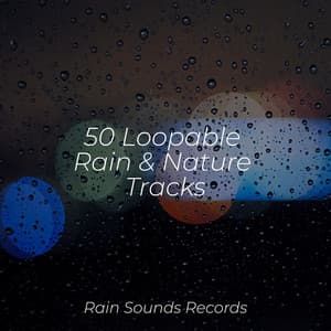 50 Loopable Rain & Nature Tracks - Lightning, Thunder and Rain Storm