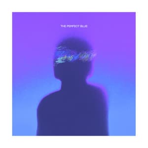 The Perfect Blue - TOBi