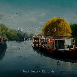 50 Gentle and Total Relaxation Tracks - Música para Relajarse Profundamente