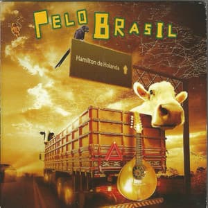 Pelo Brasil - Hamilton De Holanda