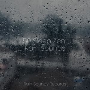 50 Sleep Zen Rain Sounds - Music For Absolute Sleep