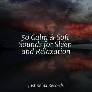 50 Calm & Soft Sounds for Sleep and Relaxation - ASMR HD