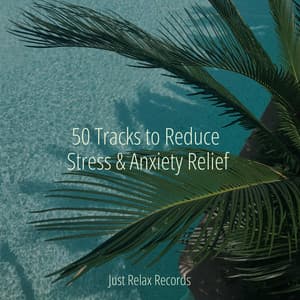 50 Tracks to Reduce Stress & Anxiety Relief - Mantra para Meditar