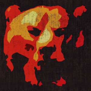 The Bear - Chris T-T