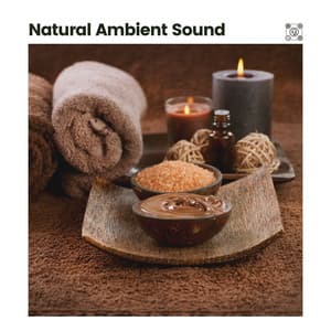 Natural Ambient Sound - Calm Music