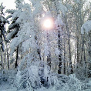 ! ! ! ! Winter's Tale - Música Relajante