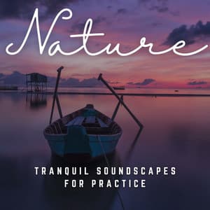 Yoga Harmony: Tranquil Soundscapes for Practice - Yoga Music Reflections