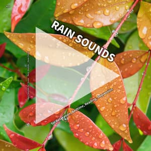 #01 Rain Sounds for Relaxation, Bedtime, Reading, Depression - Rain Sounds For Sleep