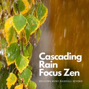 Cascading Rain Focus Zen: Relaxing Music Rainfall Reverie - Sleep Sounds Rainfall