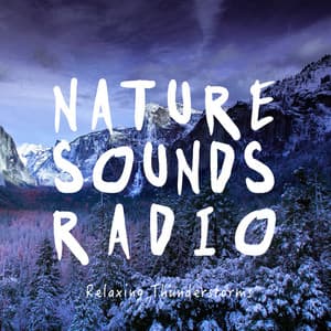 Relaxing Thunderstorms - Nature Sounds Radio