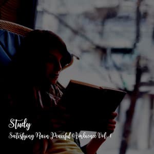 Study: Satisfying Rain Peaceful Ambience Vol. 1 - Study Music & Sounds
