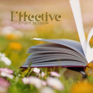 Effective Study Session: Nature Sounds for Classroom, Lower Exam Stress Level, Nondisctracting Music for Learning and Concentration - Calming Music Sanctuary